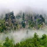 Bild zur Veranstaltung