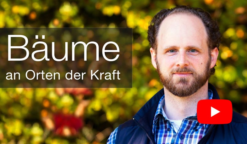 Video Video abspielen