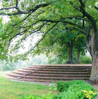 Runde Freiterrasse mit Stufen bei Bäumen